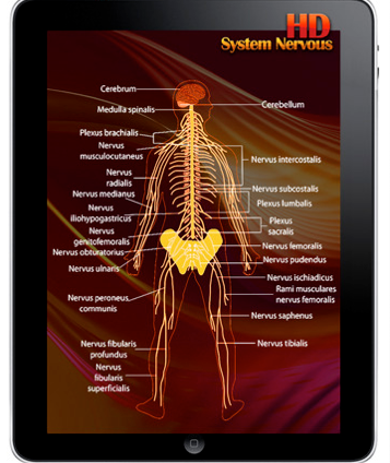 12 Awesome Anatomy Applications for iPad