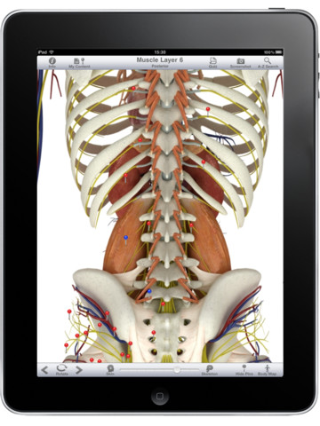 12 Awesome Anatomy Applications For IPad