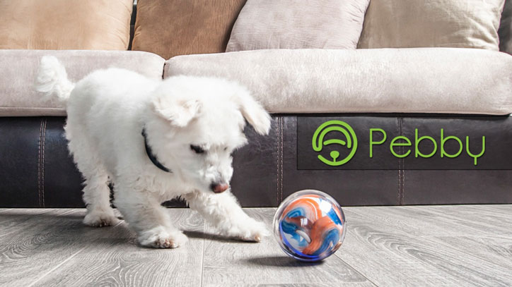 robot ball for dogs