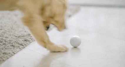 smart ball for pets