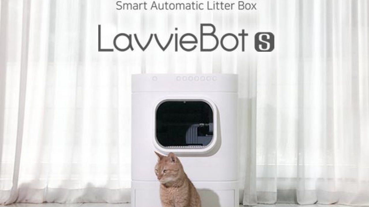 footloose cat litter box