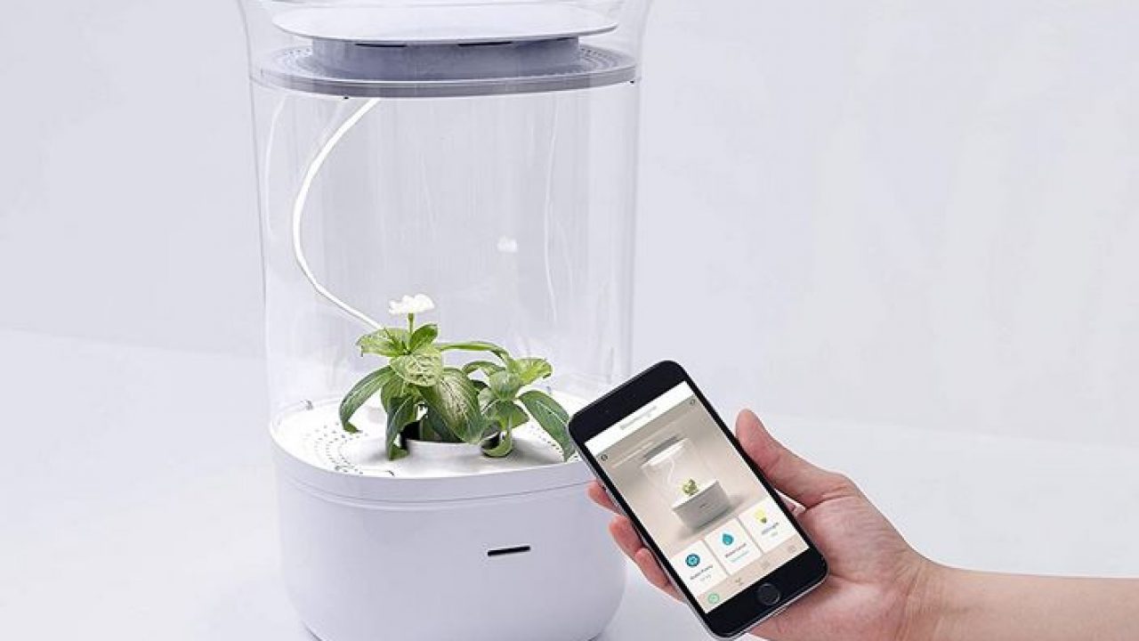 bluetooth planter