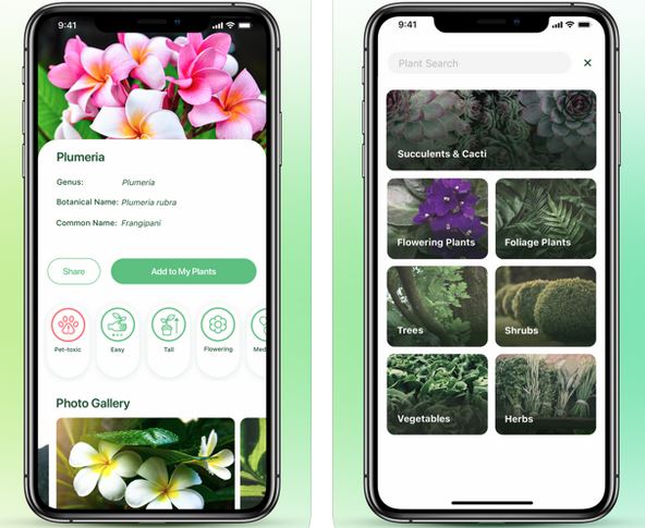 7 Must See Plant Identification IPhone Apps