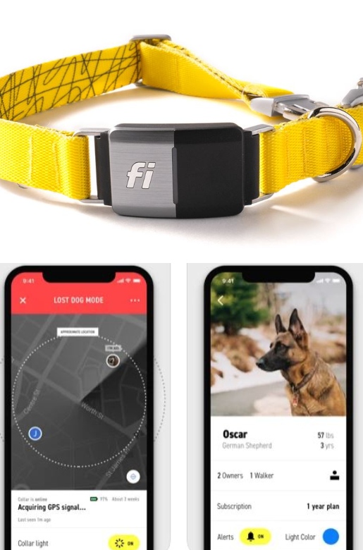 Fi Series 2 WiFi & Bluetooth Dog Tracker