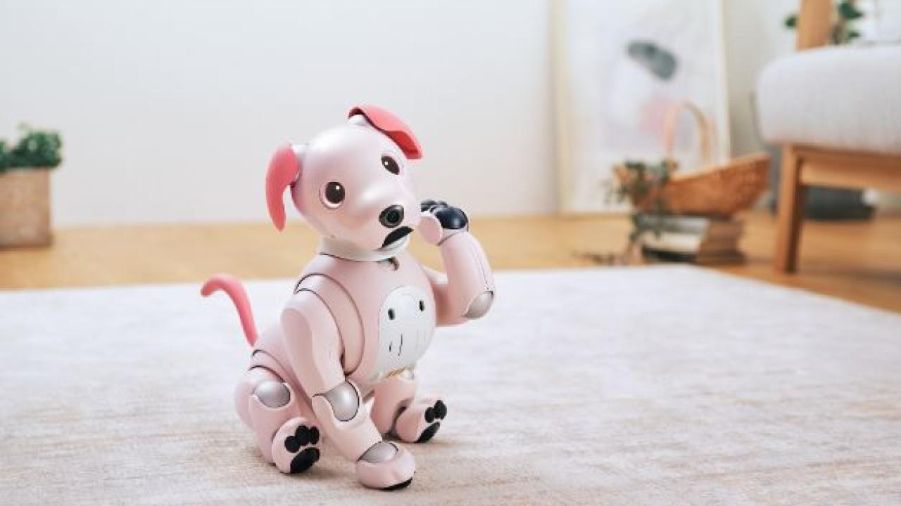 aibo reddit